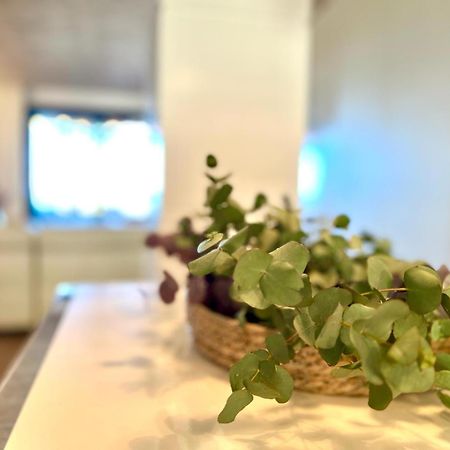 Apartamento Con Vistas A La Sierra De 알테아 외부 사진